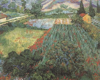 Vincent Van Gogh Field with Poppies (nn04) Spain oil painting art
